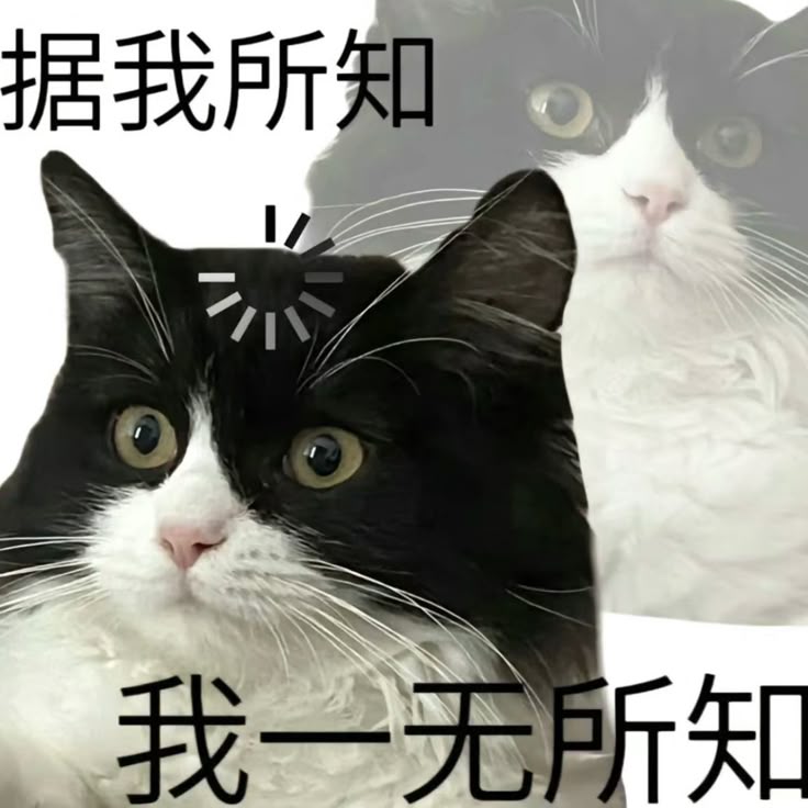 作品